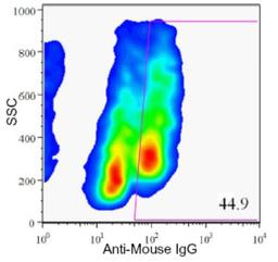 Flow Cytometry: HPa2 Antibody (DHIC2-2B4) [NBP1-18950] - Analysis of enzyme dispersed human pancreas cells.