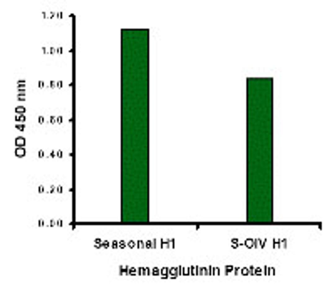 Seasonal Influenza A Hemagglutinin antibody (2 μg/mL) recognizes seasonal influenza A (H1N1), and to a lesser extent swine-origin influenza A (S-OIV, H1N1), Hemagglutinin protein in ELISA.