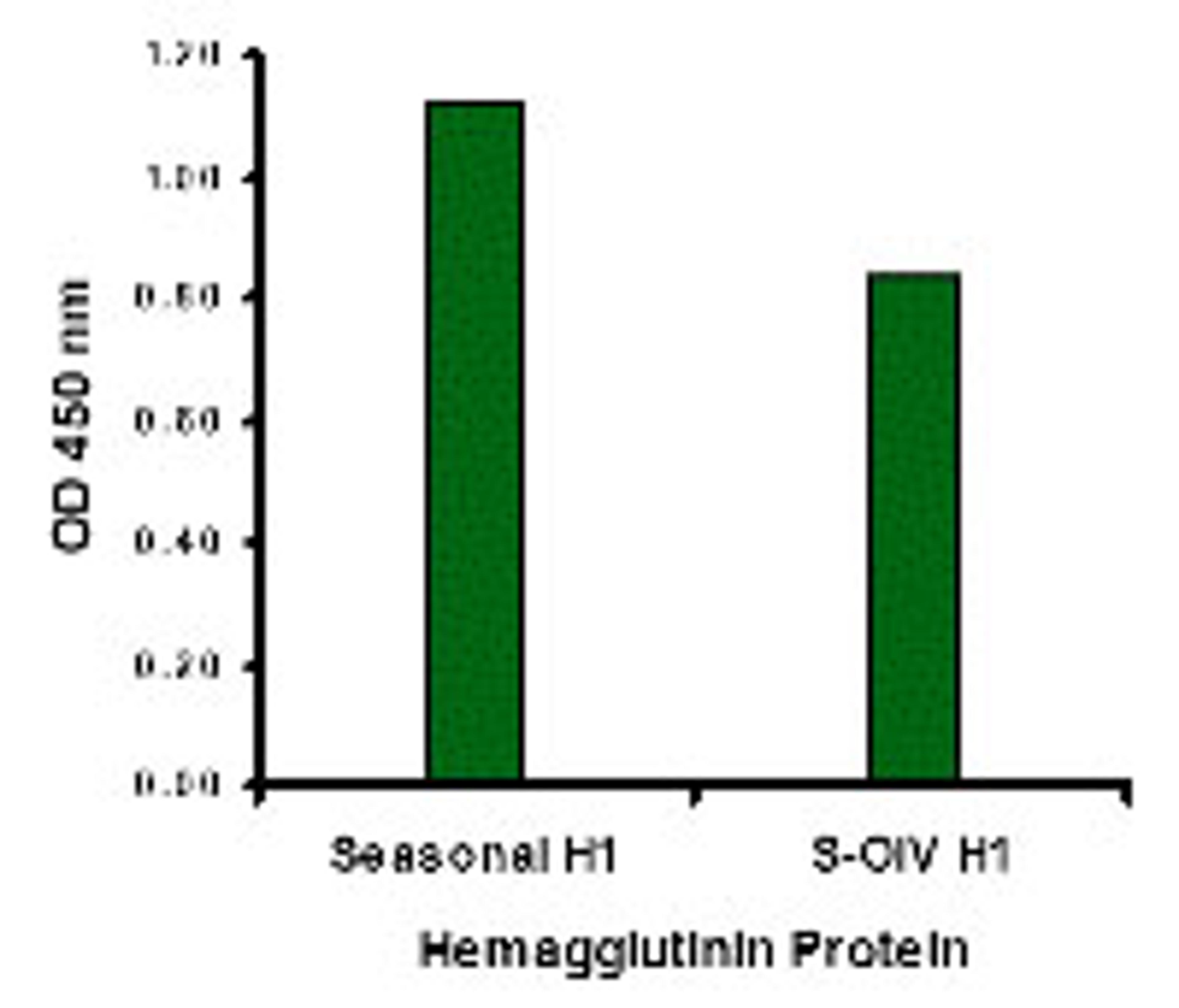 Seasonal Influenza A Hemagglutinin antibody (2 μg/mL) recognizes seasonal influenza A (H1N1), and to a lesser extent swine-origin influenza A (S-OIV, H1N1), Hemagglutinin protein in ELISA.