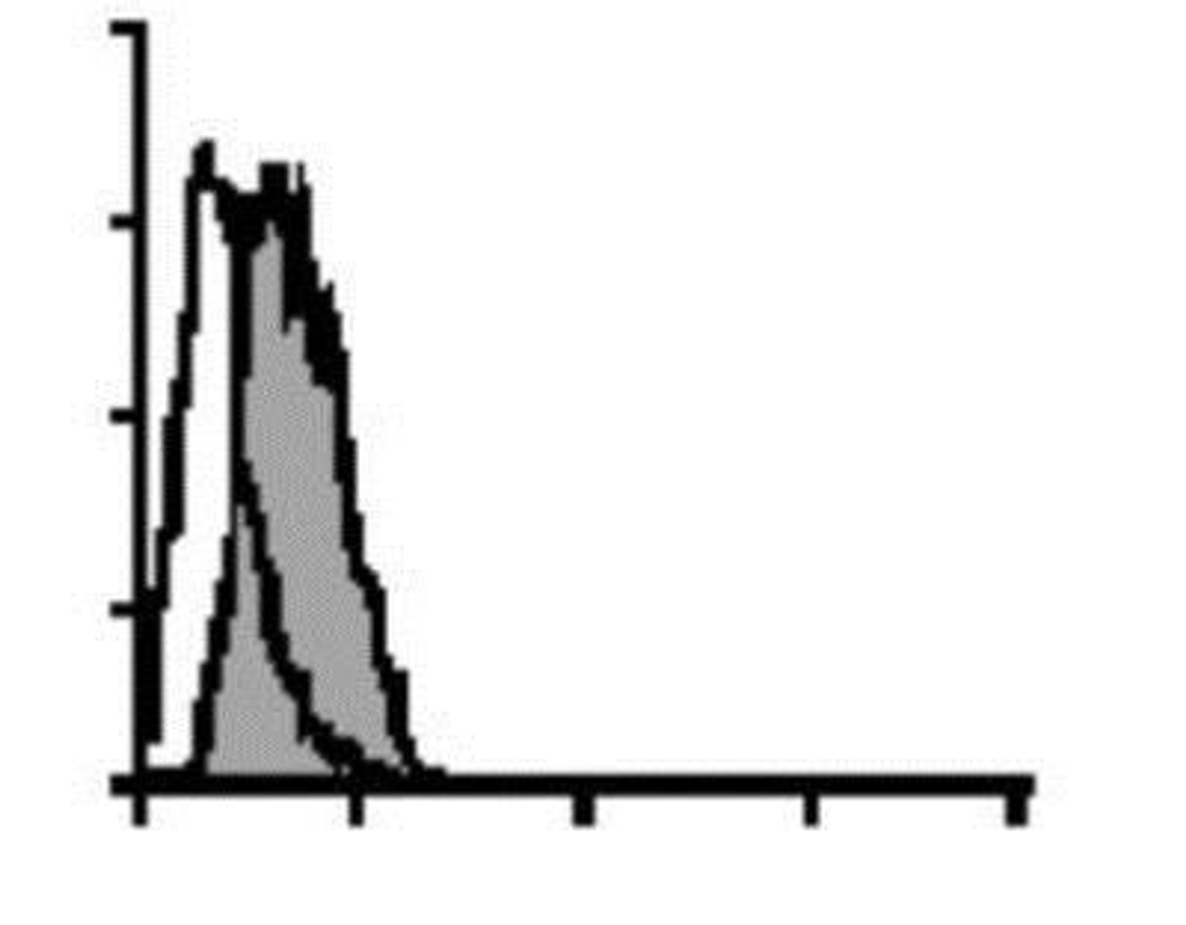 Flow Cytometry: Granzyme B Antibody (B18.1) [NBP1-97525] - Granzyme B Antibody (B18.1) [FITC] Detection of granzyme B in permeabilized human CD8+ T lymphocytes (filled profile). Isotype control in combination with a secondary FITC-labeled antibody is shown as control. Method: Permeabilized human T cells (5 x 10^5