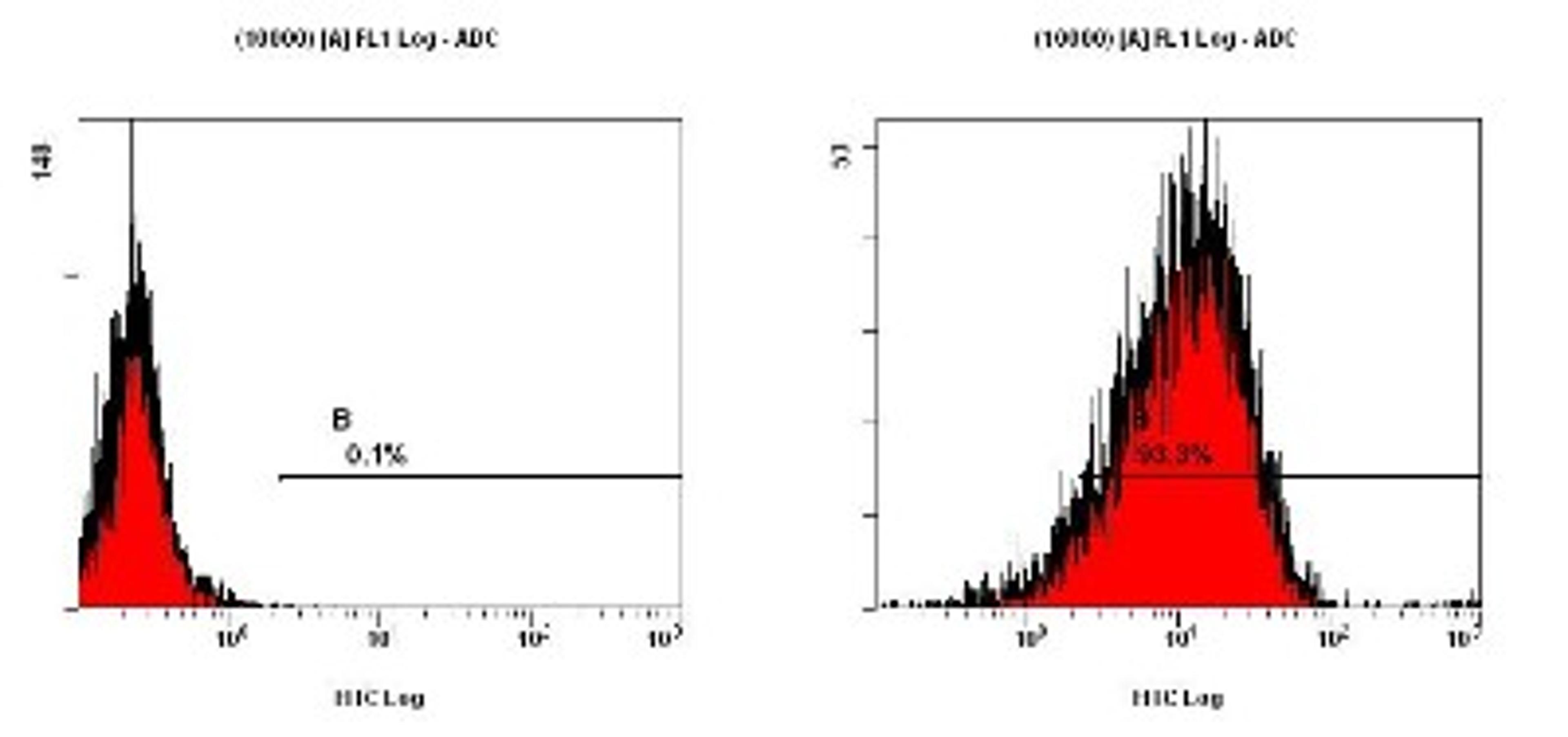 Flow Cytometry: CCR2 Antibody [NBP1-48337] - FACS testing of CCR2 in HeLa cells.