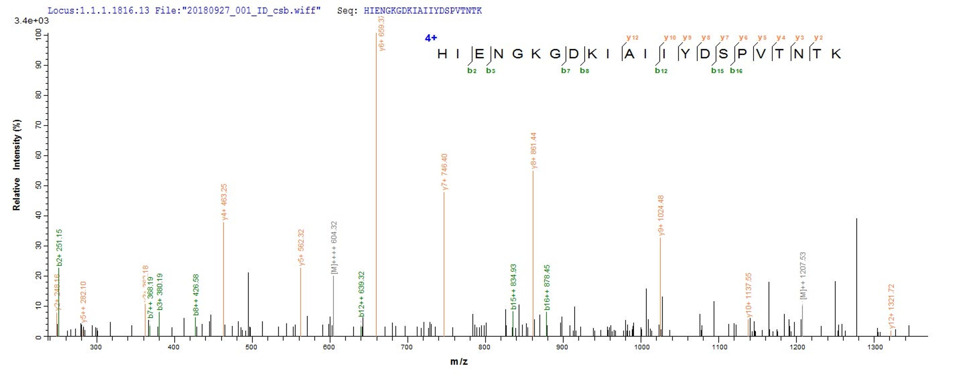 Based on the SEQUEST from database of E.coli host and target protein, the LC-MS/MS Analysis result of CSB-EP887990HU could indicate that this peptide derived from E.coli-expressed Homo sapiens (Human) ACSS3.