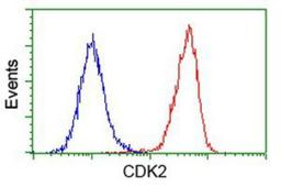 Flow Cytometry: Cdk2 Antibody (2D9) [NBP2-00776] - Analysis of Hela cells, using anti-Cdk2 antibody, (Red), compared to a nonspecific negative control antibody (Blue).