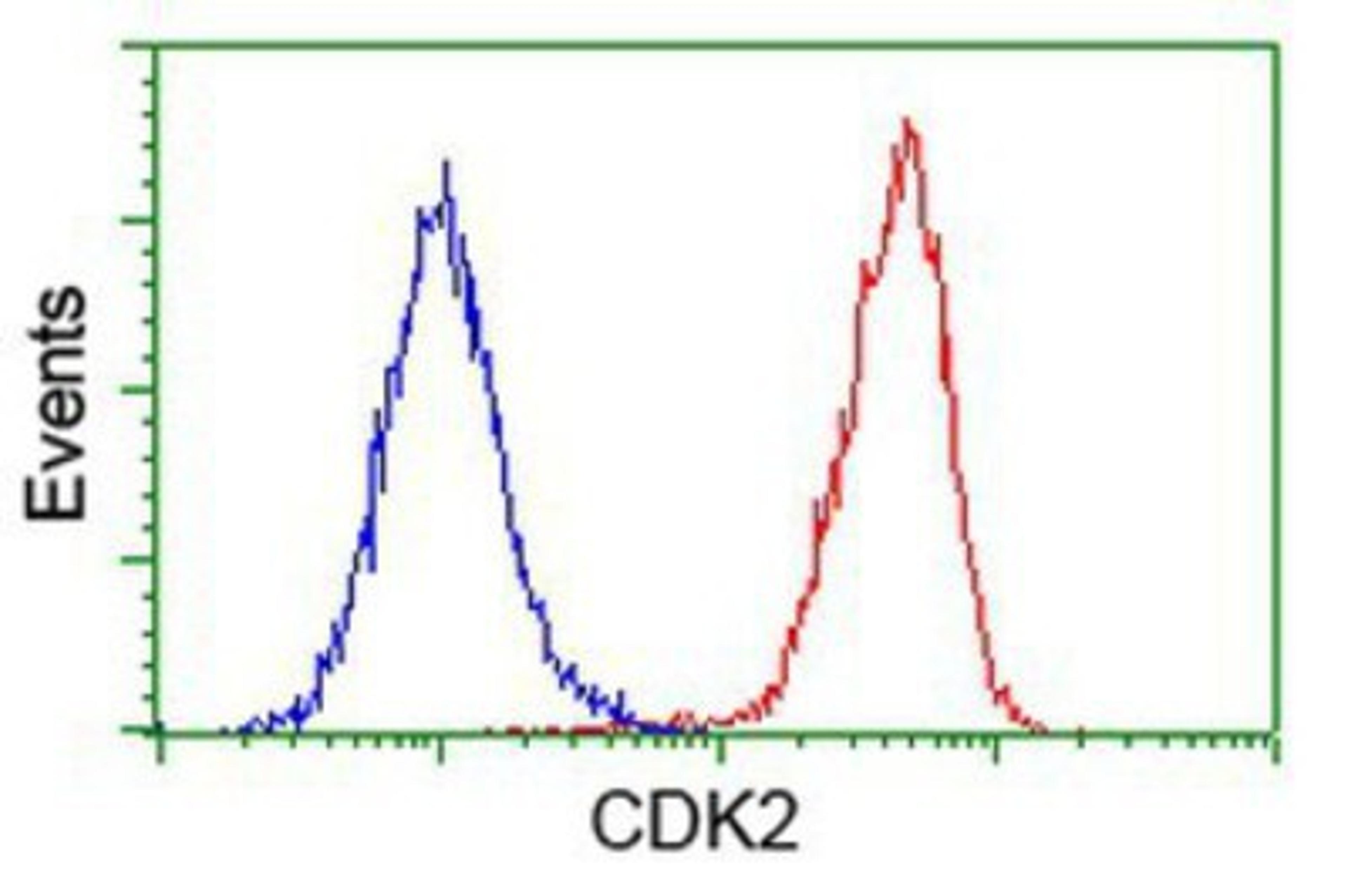 Flow Cytometry: Cdk2 Antibody (2D9) [NBP2-00776] - Analysis of Hela cells, using anti-Cdk2 antibody, (Red), compared to a nonspecific negative control antibody (Blue).