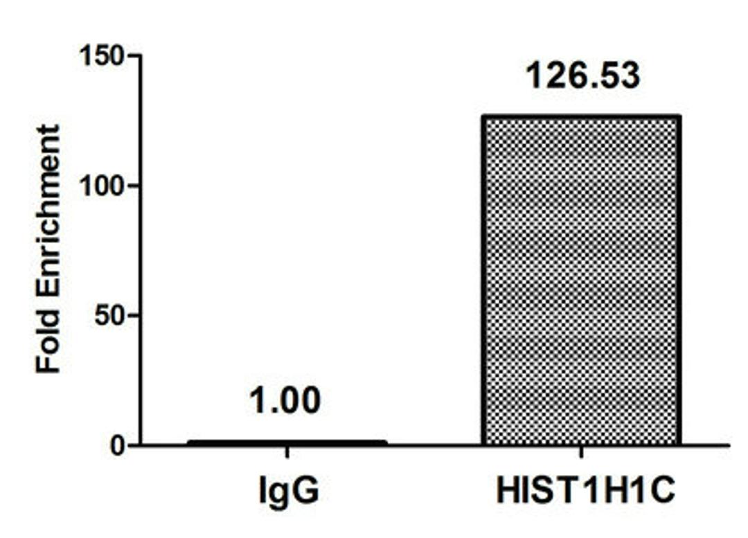 Chromatin Immunoprecipitation Hela (10<sup>6</sup>) were treated with Benzanase, sonicated, and immunoprecipitated with 5µg anti-HIST1H1C (CSB-PA010378OA22nhibHU) or a control normal rabbit IgG. The resulting ChIP DNA was quantified using real-time PCR with primers against the β-Globin promoter.