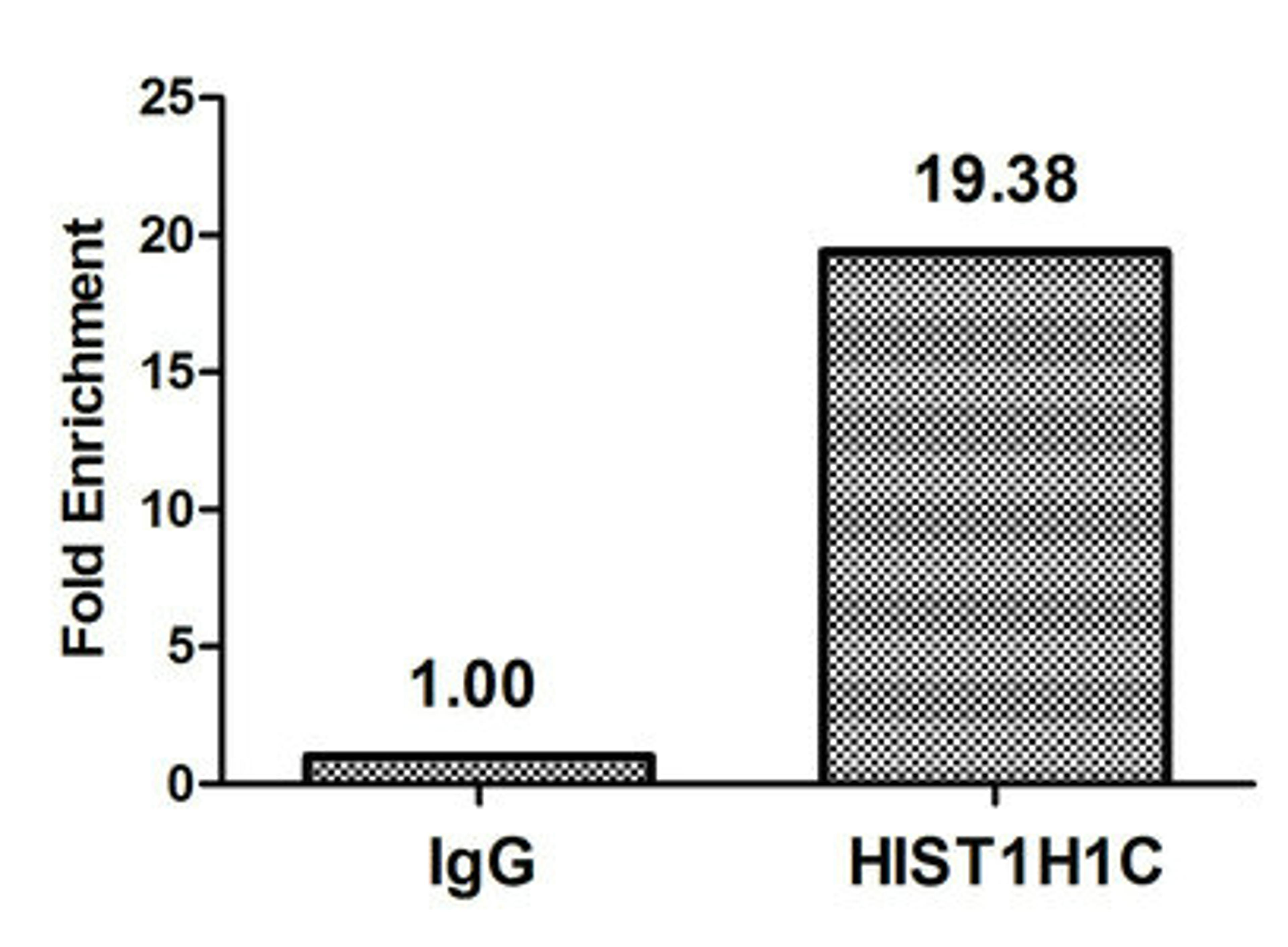 Chromatin Immunoprecipitation Hela (10<sup>6</sup>, treated with 30mM sodium butyrate for 4h) were treated with Micrococcal Nuclease, sonicated, and immunoprecipitated with 5µg anti-HIST1H1C (CSB-PA010378OA74forHU) or a control normal rabbit IgG. The resulting ChIP DNA was quantified using real-time PCR with primers against the β-Globin promoter.