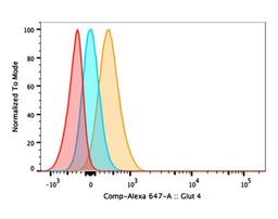 Flow Cytometry: Glut4 Antibody [NBP1-49533] - Analysis using the Alexa Fluor (R) 647 conjugate of NBP1-49533. Staining of Glut 4 expression on Murine CD4+ T cells stimulated with anti-CD3/CD28 beads and insulin (1ug/mL) for 5 days in culture media with additional glucose provided. This Alexa Fluor (R) 647 conjugated Glut 4 antibody (orange) positively stained mouse CD4+ T cells compared to Isotype Control (Rb IgG AF647, Novus NBP2-36463AF647, blue) and fluorescence minus one/FMO control (red) (Image submitted by Verified Customer)