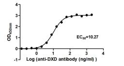 The Binding Activity of ADC-1(DXD) with Anti-DXD-HRP antibody. Activity: Measured by its binding ability in a functional ELISA. Immobilized ADC-1(DXD) at 2 μg/mL can bind Anti-DXD-HRP antibody, the EC<sub>50</sub> is 9.268 to 11.37 ng/mL.