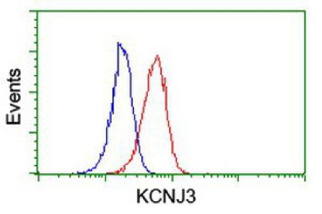 Flow Cytometry: Kir3.1 Antibody (1G3) [NBP2-01702] - Analysis of Jurkat cells, using anti-Kir3.1 antibody, (Red), compared to a nonspecific negative control antibody (Blue).