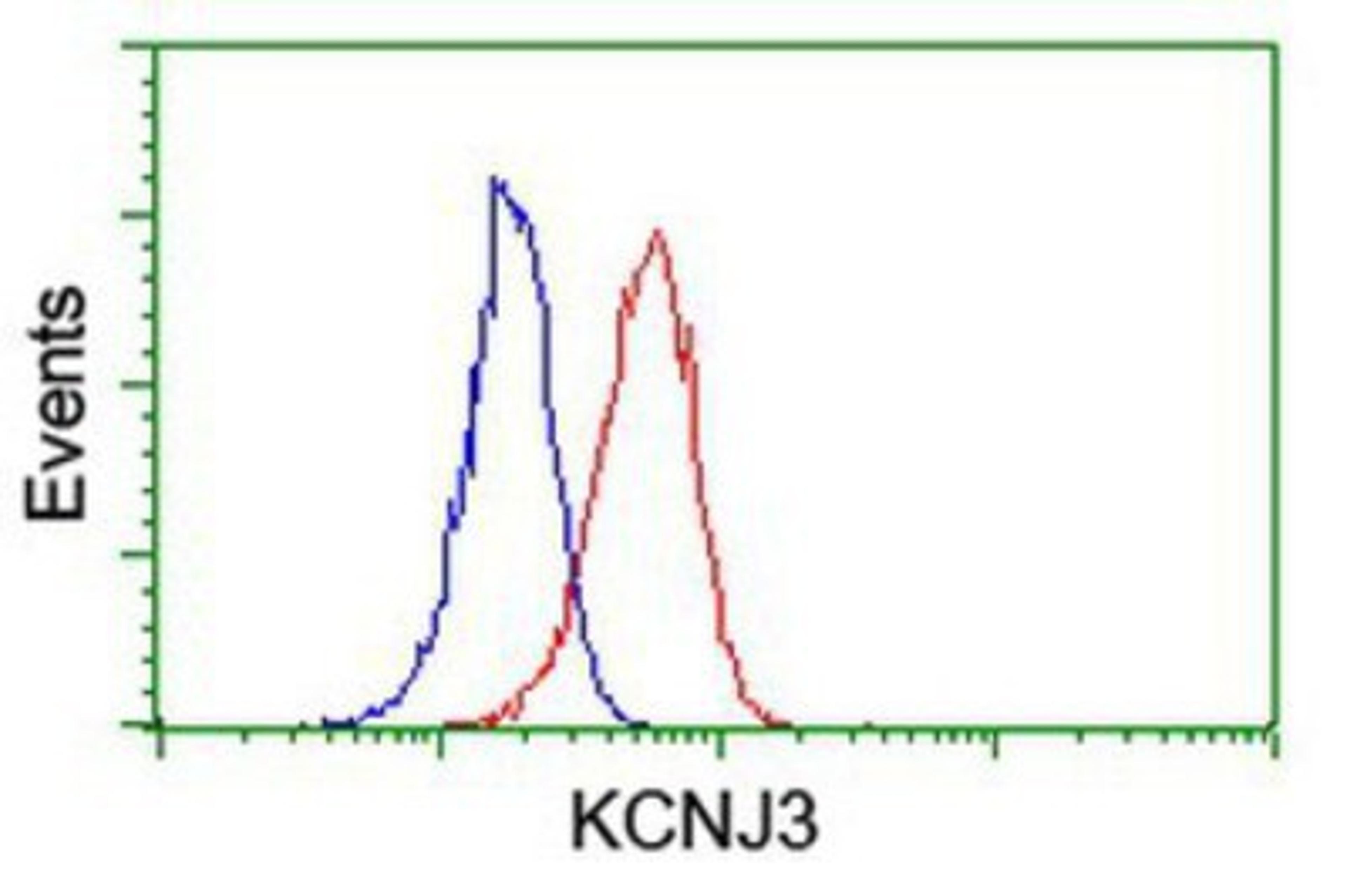 Flow Cytometry: Kir3.1 Antibody (1G3) [NBP2-01702] - Analysis of Jurkat cells, using anti-Kir3.1 antibody, (Red), compared to a nonspecific negative control antibody (Blue).