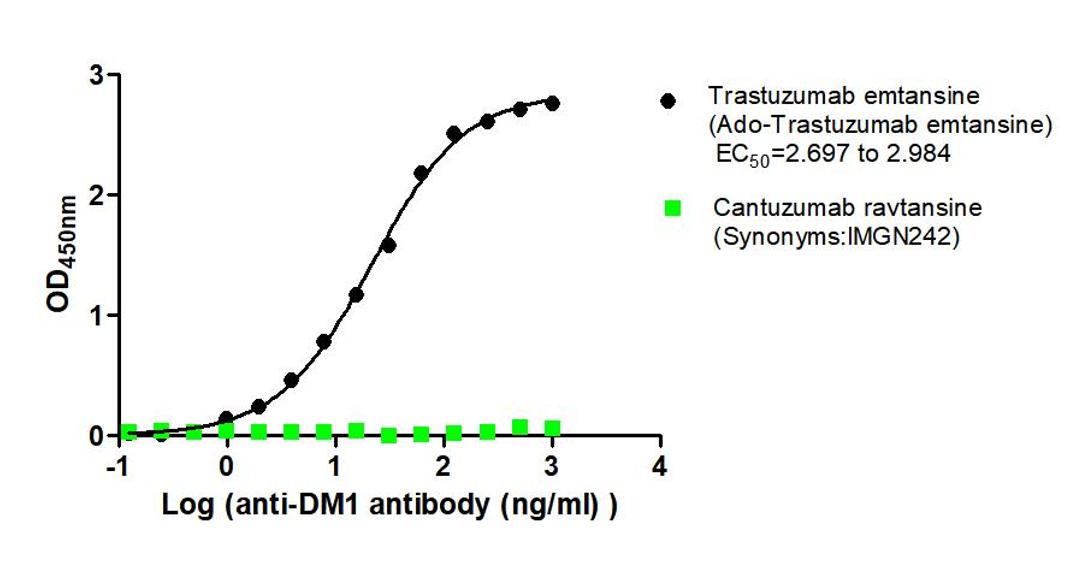 The Binding Activity of Trastuzumab emtansine (Ado-Trastuzumab emtansine) and Cantuzumab ravtansine (Synonyms:IMGN242) with Anti-DM1 antibody. Activity: Measured by its binding ability in a functional ELISA. Immobilized Trastuzumab emtansine (Ado-Trastuzumab emtansine) and Cantuzumab ravtansine (Synonyms:IMGN242) at 2 μg/mL can bind Anti-DM1 antibody, the EC<sub>50</sub> is 2.697 to 2.984 ng/mL and no.