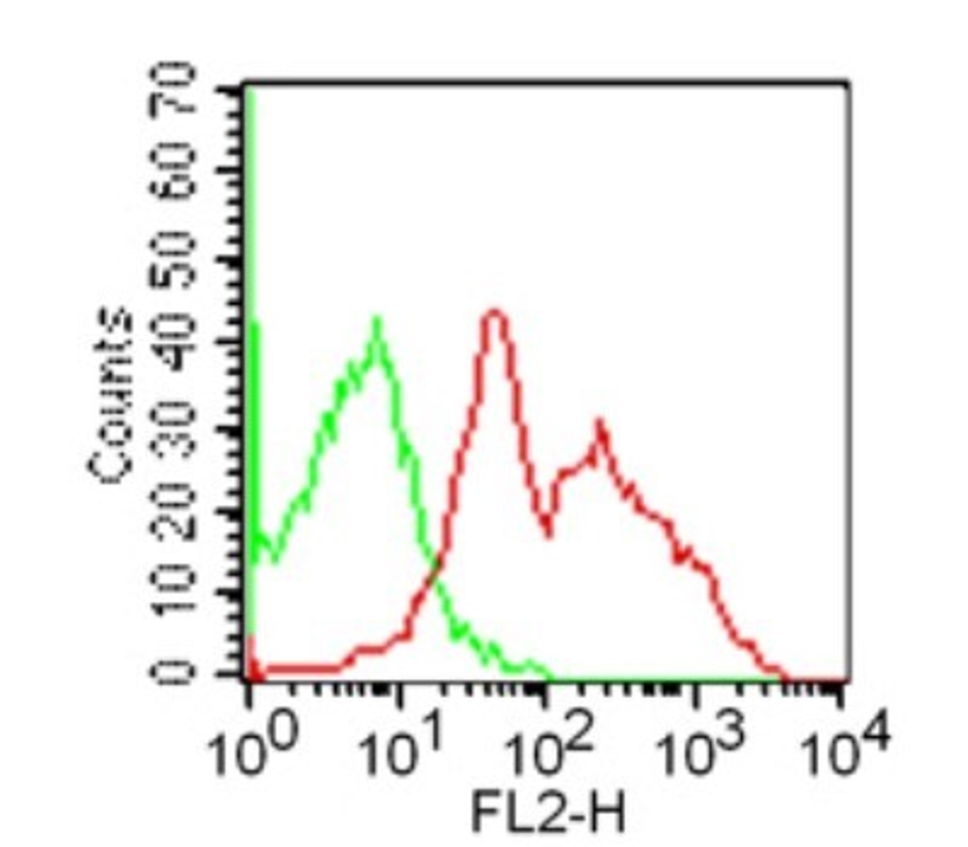 Flow Cytometry: GITR/TNFRSF18 Antibody (DTA-1) [NBP2-26661] - Analysis using the PE conjugate of NBP2-26661. Staining of GITR in mouse splenocytes using 0.2 ug/10^6 cells of this antibody; red represents anti-GITR antibody.