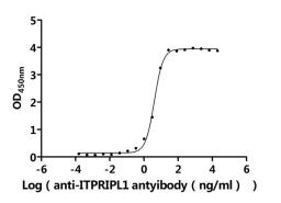 The Binding Activity of Macaca fascicularis ITPRIPL1 with Anti-ITPRIPL1 recombinant antibody. Activity: Measured by its binding ability in a functional ELISA. Immobilized Macaca fascicularis ITPRIPL1 (CSB-MP6125MOV) at 2 μg/mL can bind Anti-ITPRIPL1 recombinant antibody. The EC<sub>50</sub> is 3.759-4.428 ng/mL.