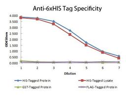 Line graph illustrates about the Ag-Ab reactions using different concentrations of antigen and serial dilutions of using 6X His Tag antibody