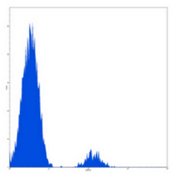 Flow cytometric analysis of human peripheral blood lymphocytes using CD37 antibody (FITC)