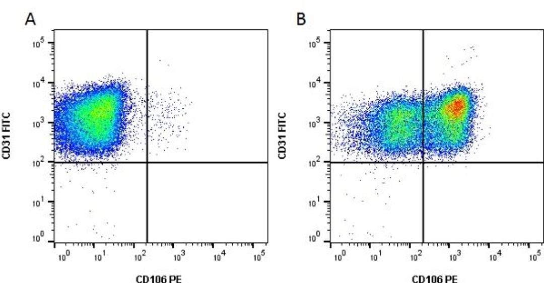 Figure A. Cells stained with Mouse anti Human CD31 and Mouse anti Human CD106