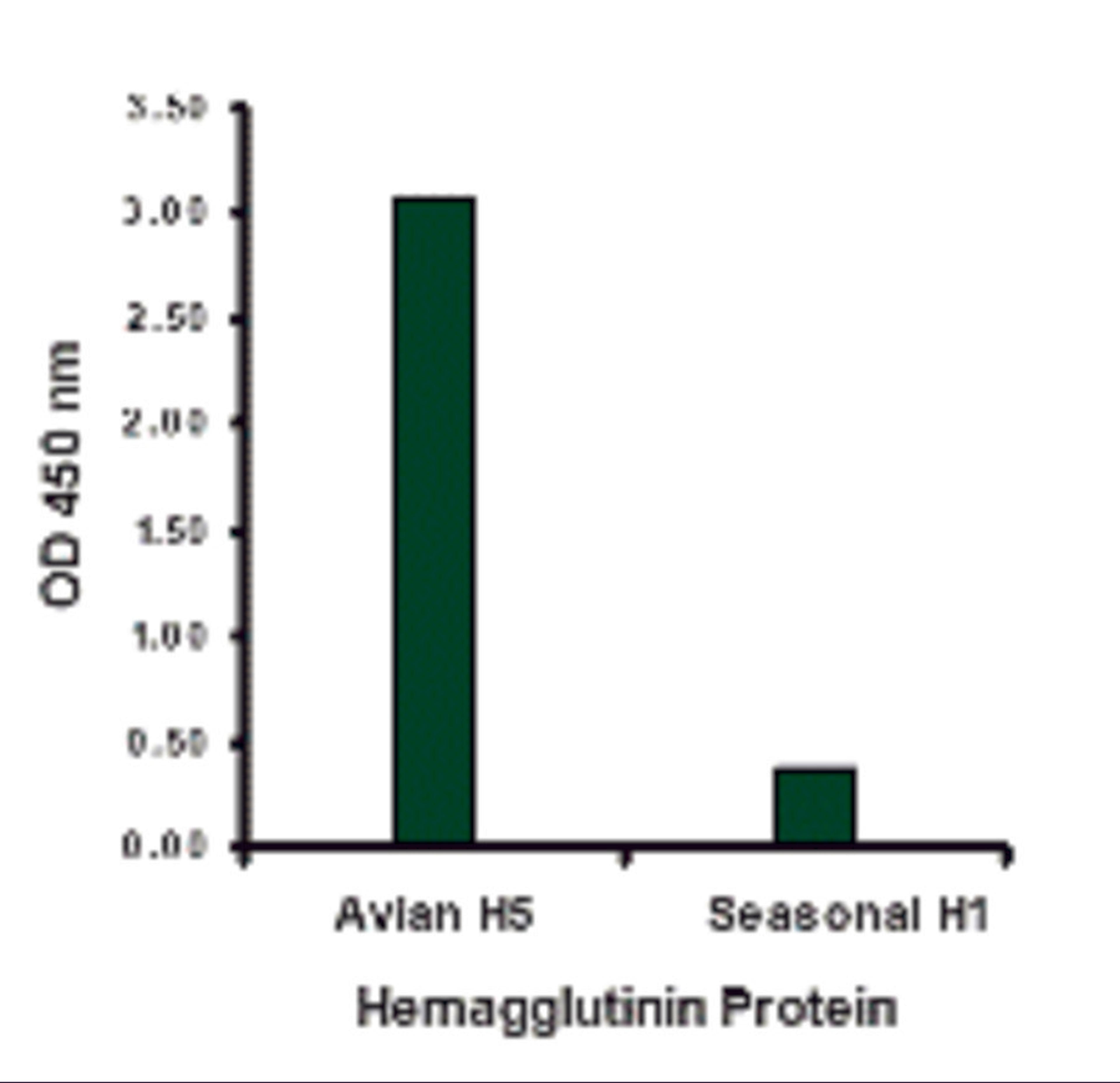 Hemagglutinin antibody at 1 μg/mL specifically recognizes Avian H5N1 influenza virus but not seasonal influenza virus A H1N1 Hemagglutinin protein.