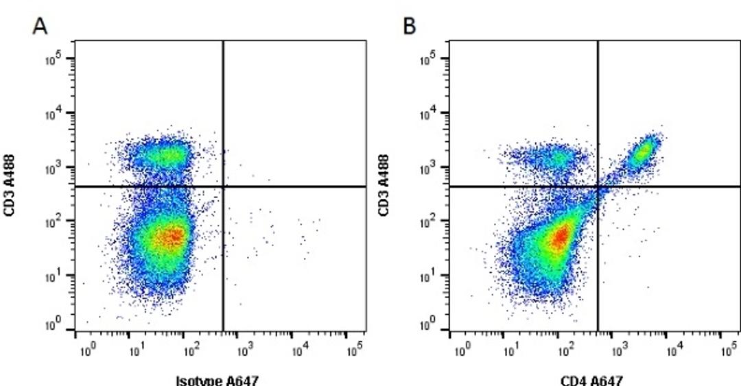 Figure A. Rat anti Mouse CD3. Figure B. Mouse anti Human CD3 and Rat anti Mouse CD4.