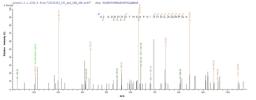 Based on the SEQUEST from database of E.coli host and target protein, the LC-MS/MS Analysis result of CSB-EP018229MO could indicate that this peptide derived from E.coli-expressed Mus musculus (Mouse) Pmaip1.