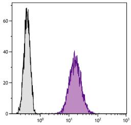 Mouse pre-B cell line 18-81 was stained with Rat Anti-Mouse CD71-FITC (Cat. No. 98-836).