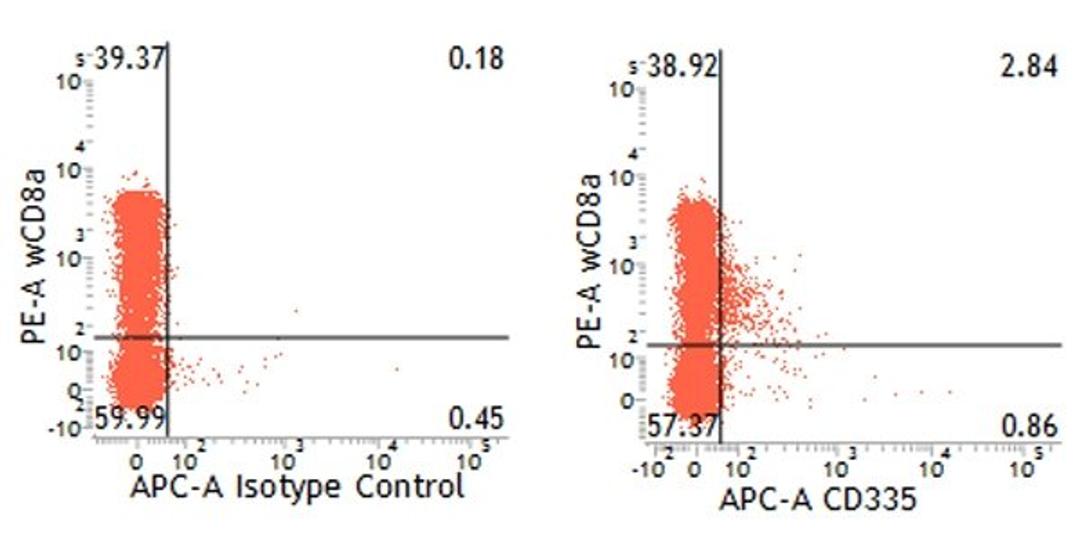 Dual staining of pig peripheral blood lymphocytes with Mouse anti Pig CD335:APC