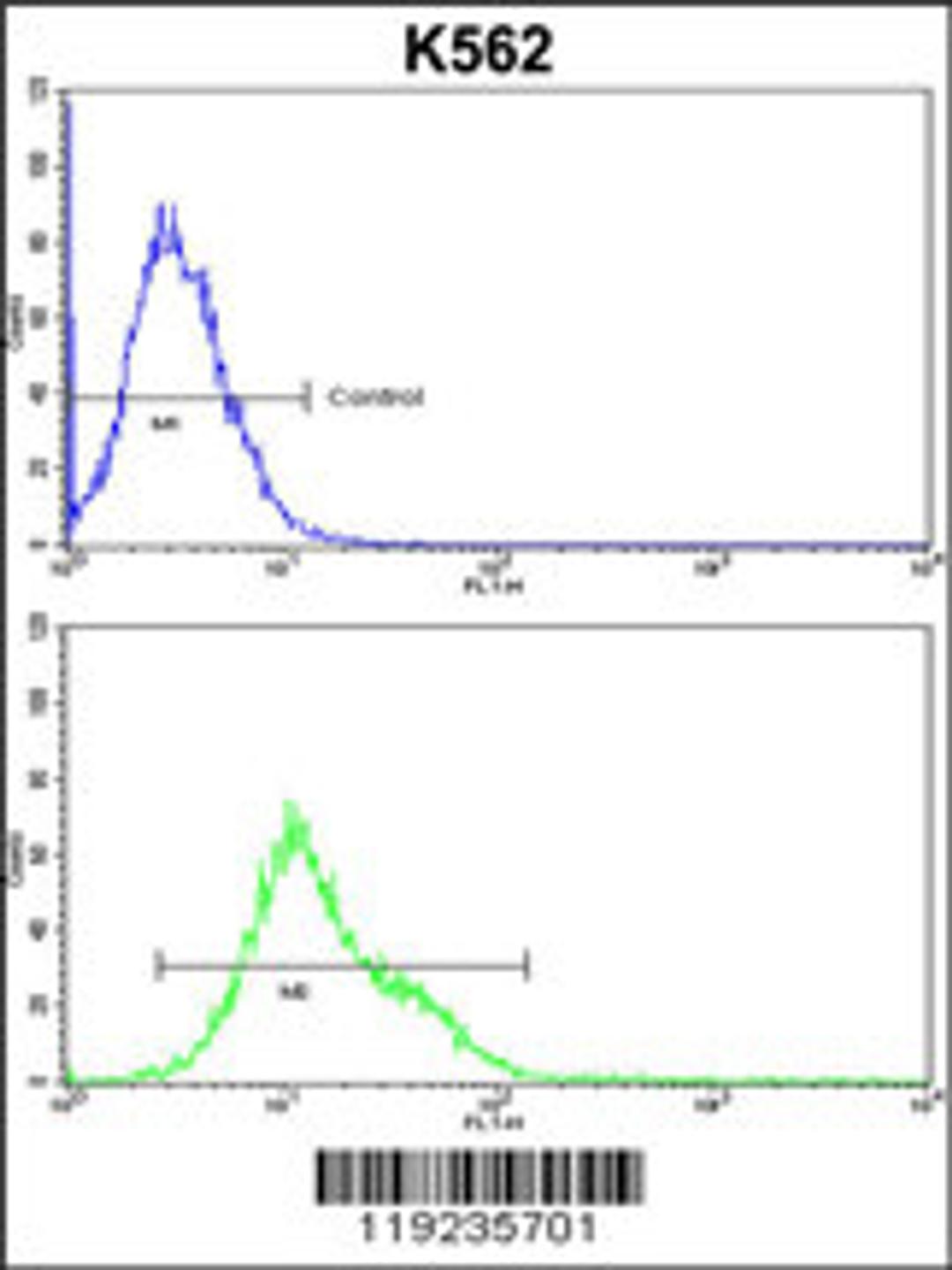 Flow cytometric analysis of k562 cells (bottom histogram) compared to a negative control cell (top histogram).FITC-conjugated goat-anti-rabbit secondary antibodies were used for the analysis.