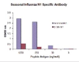 Seasonal influenza A N1 antibody (Cat. No. PM-5917) specifically recognizes seasonal (H1N1) N1, and does not cross-react with peptide corresponding to swine-origin influenza A (S-OIV, H1N1) N1 peptide, in ELISA. 