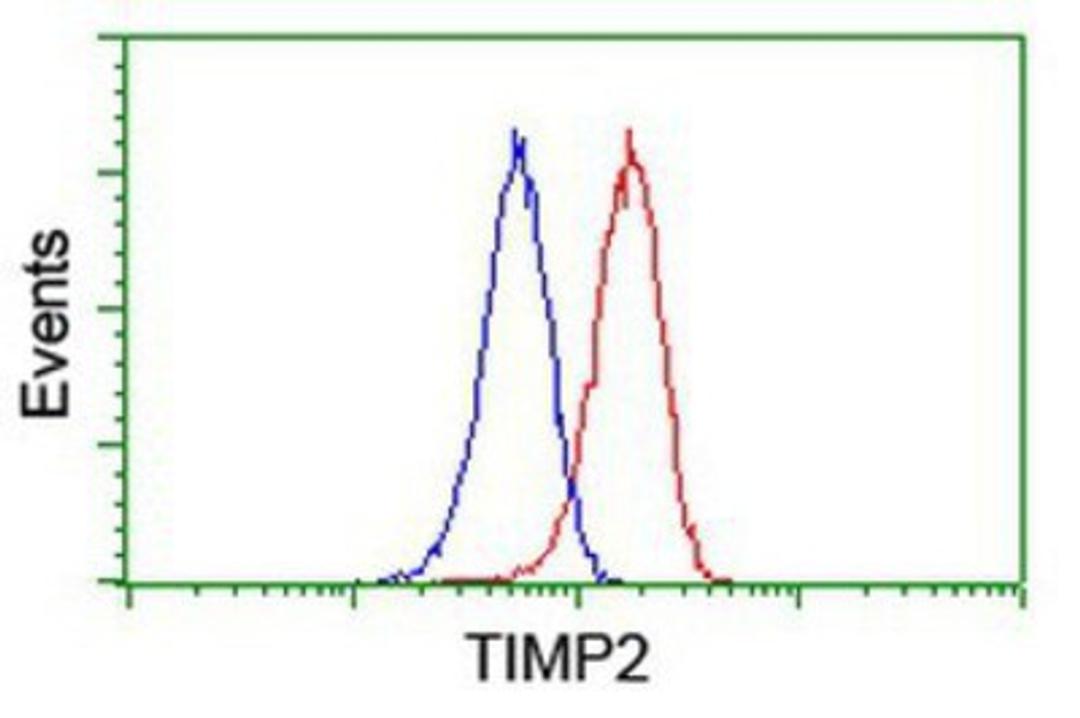 Flow Cytometry: TIMP2 Antibody (1A6) [NBP2-01573] - Analysis of Jurkat cells, using anti-TIMP2 antibody, (Red), compared to a nonspecific negative control antibody (Blue).