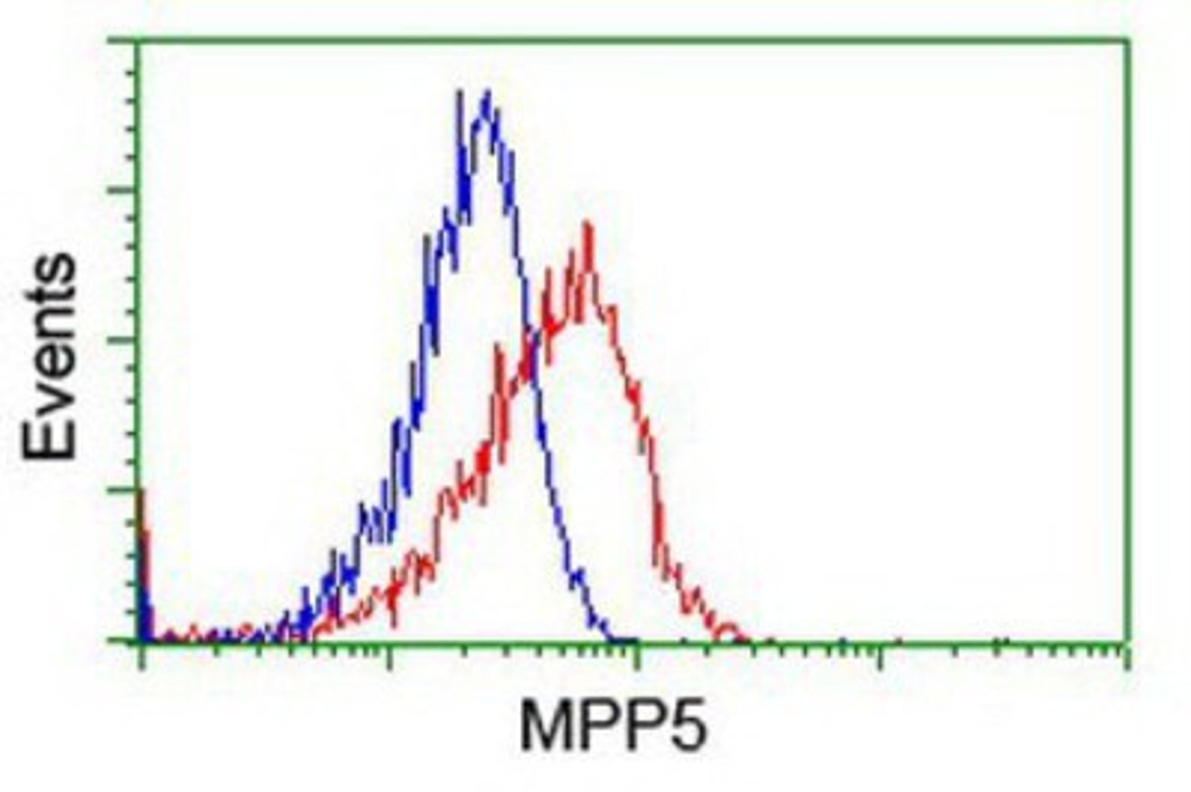 Flow Cytometry: MPP5 Antibody (2D3) [NBP2-01880] - Analysis of Hela cells, using anti-MPP5 antibody, (Red), compared to a nonspecific negative control antibody (Blue).