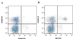 Figure A. Mouse anti Bovine CD45RO. Figure B. Mouse anti Bovine CD45RO and Mouse anti Bovine WC1