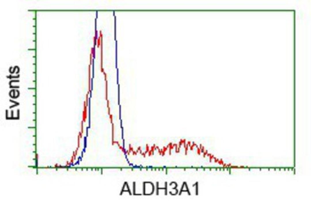 Flow Cytometry: ALDH3A1 Antibody (1B6) [NBP2-02483] - HEK293T cells transfected with either pCMV6-ENTRY ALDH3A1.(Red) or empty vector control plasmid (Blue) were immunostained with anti-ALDH3A1 mouse monoclonal, and then analyzed by flow cytometry.