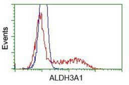 Flow Cytometry: ALDH3A1 Antibody (1B6) [NBP2-02483] - HEK293T cells transfected with either pCMV6-ENTRY ALDH3A1.(Red) or empty vector control plasmid (Blue) were immunostained with anti-ALDH3A1 mouse monoclonal, and then analyzed by flow cytometry.