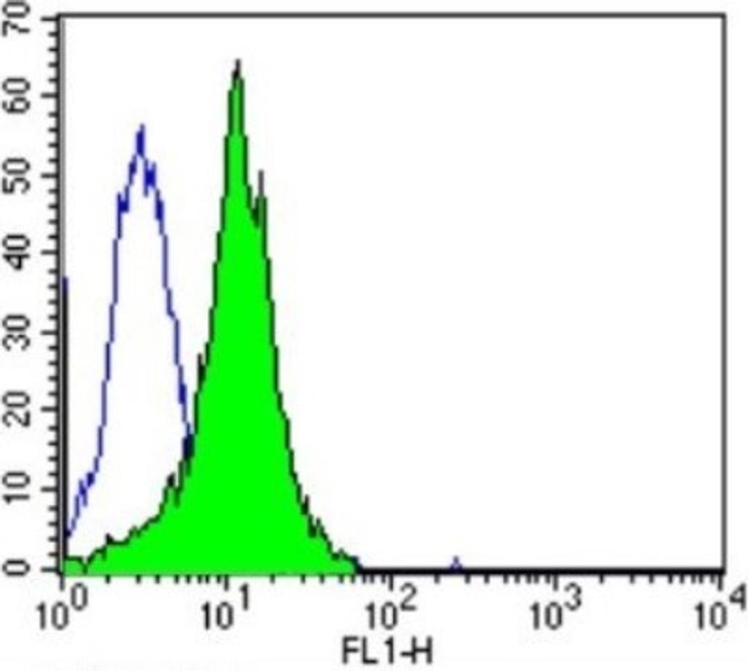 Flow Cytometry: DNCIC1 Antibody (74.1) [NB300-726] - Analysis of Dynein in U87-MG cells compared to an isotype control (blue).