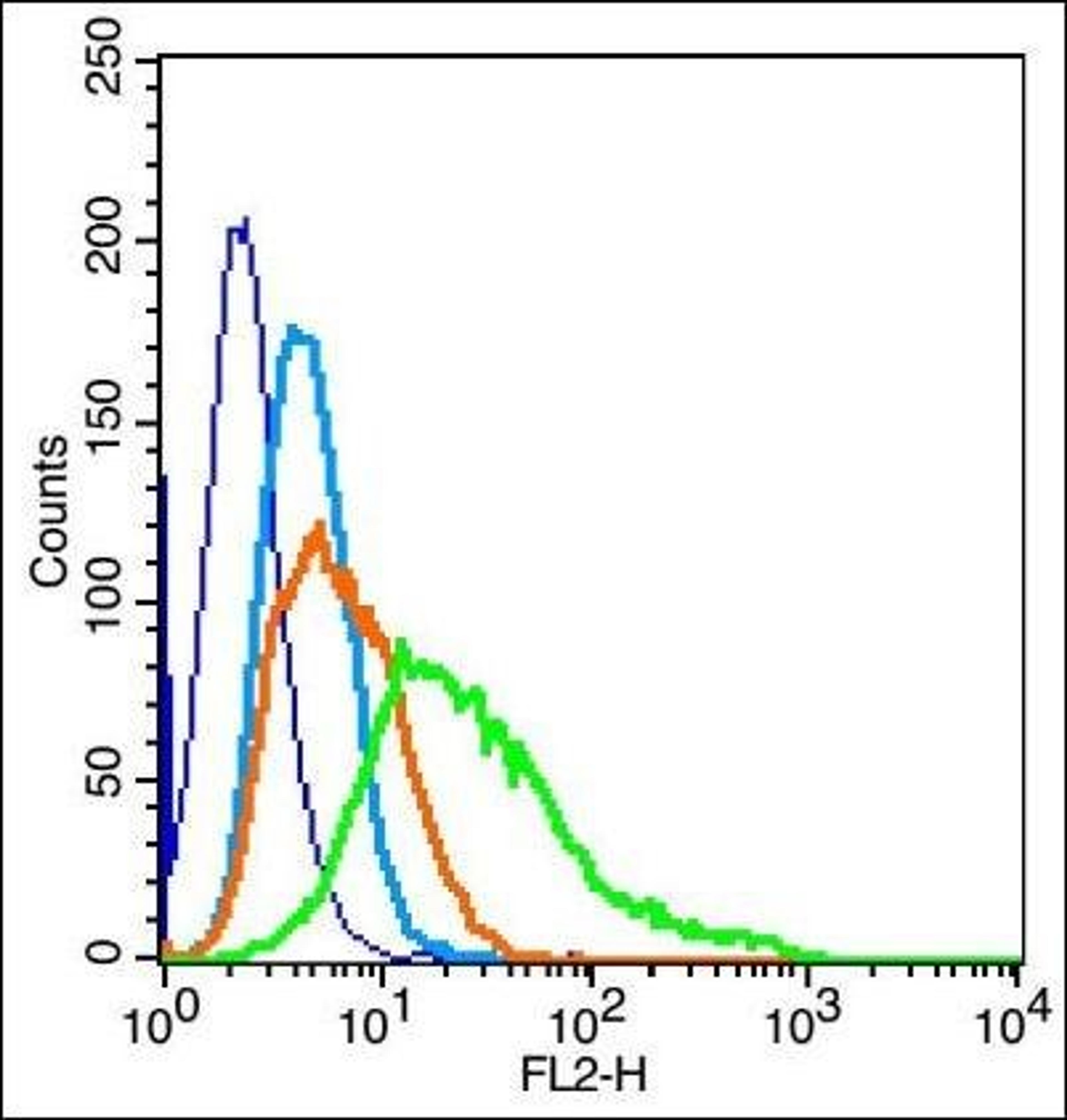 Flow cytometric analysis of U-87MG Cell using FCGRT antibody.