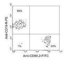 Flow Cytometry: CD90.2 Antibody (30-H12) [NBP1-28036] - Analysis using the PE conjugate of NBP1-28036. Double staining of BALB/c splenocytes with rat anti-mouse CD90.2-FITC and rat anti-mouse CD19- R-PE.