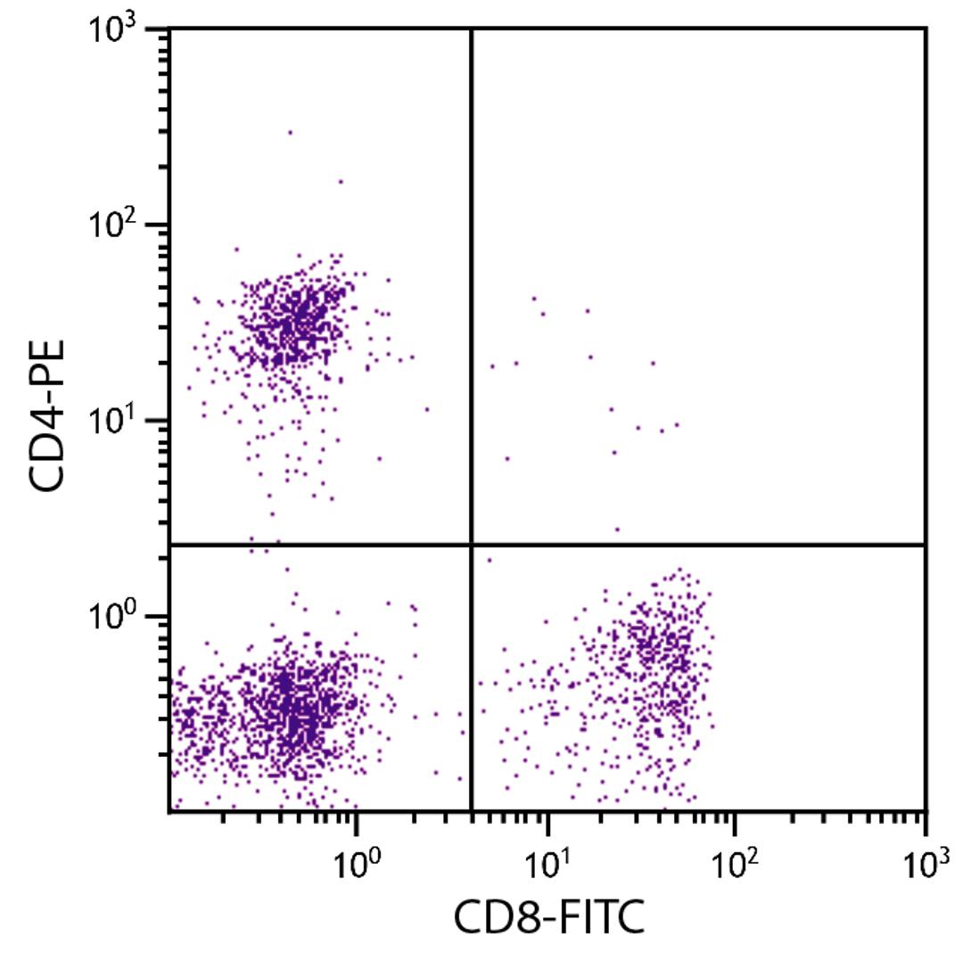 Feline peripheral blood lymphocytes were stained with Mouse Anti-Feline CD8-FITC (Cat. No. 99-194) and Mouse Anti-Feline CD4-PE .