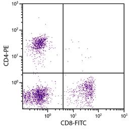 Feline peripheral blood lymphocytes were stained with Mouse Anti-Feline CD8-FITC (Cat. No. 99-194) and Mouse Anti-Feline CD4-PE .