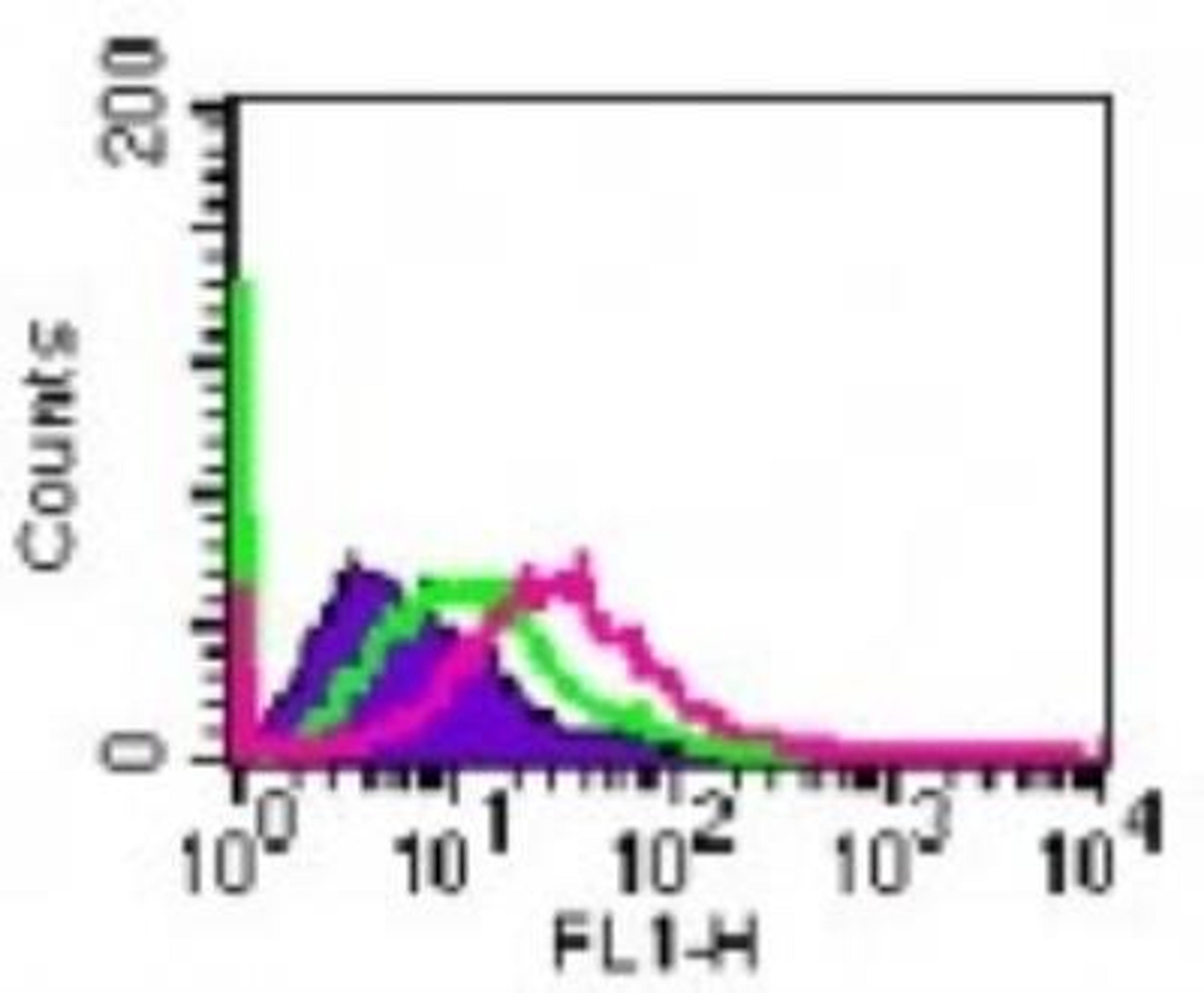 Flow Cytometry: IL-20 R alpha Antibody [NB100-56409] - Cell-surface flow cytometry analysis of IL-20 R alpha Antibodyin A375 cells using this antibody at 5 ug/10^6 cells. The shaded histogram represents cells only, green represents isotype control, and purple represents anti-IL-20 R alpha Antibody