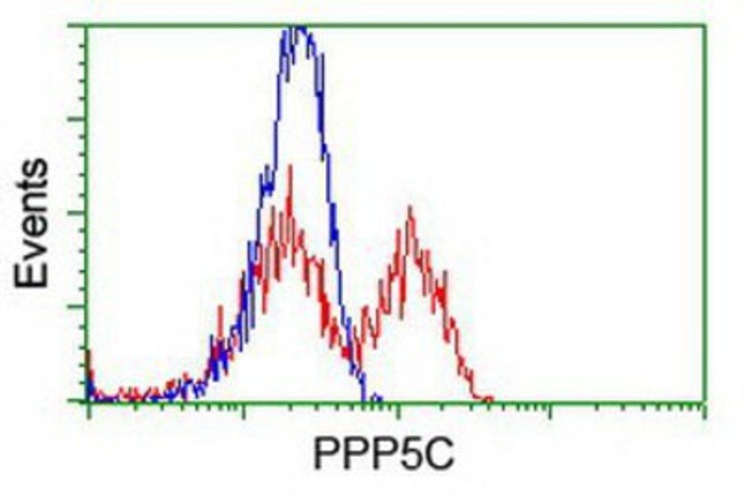 Flow Cytometry: PP5 Antibody (2E12) [NBP1-47927] - HEK293T cells transfected with either overexpression plasmid (Red) or empty vector control plasmid (Blue) were immunostained by anti-PP5 antibody, and then analyzed by flow cytometry.