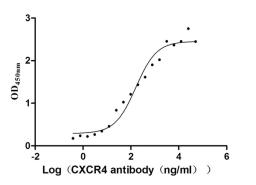 The Binding Activity of Human CXCR4 with Anti-CXCR4 recombinant Antibody. Activity: Measured by its binding ability in a functional ELISA. Immobilized Human CXCR4 (CSB-MP006254HU(F1)) at 10 μg/mL can bind Anti-CXCR4 recombinant antibody, the EC<sub>50</sub> is 101.7-253.6 ng/mL.