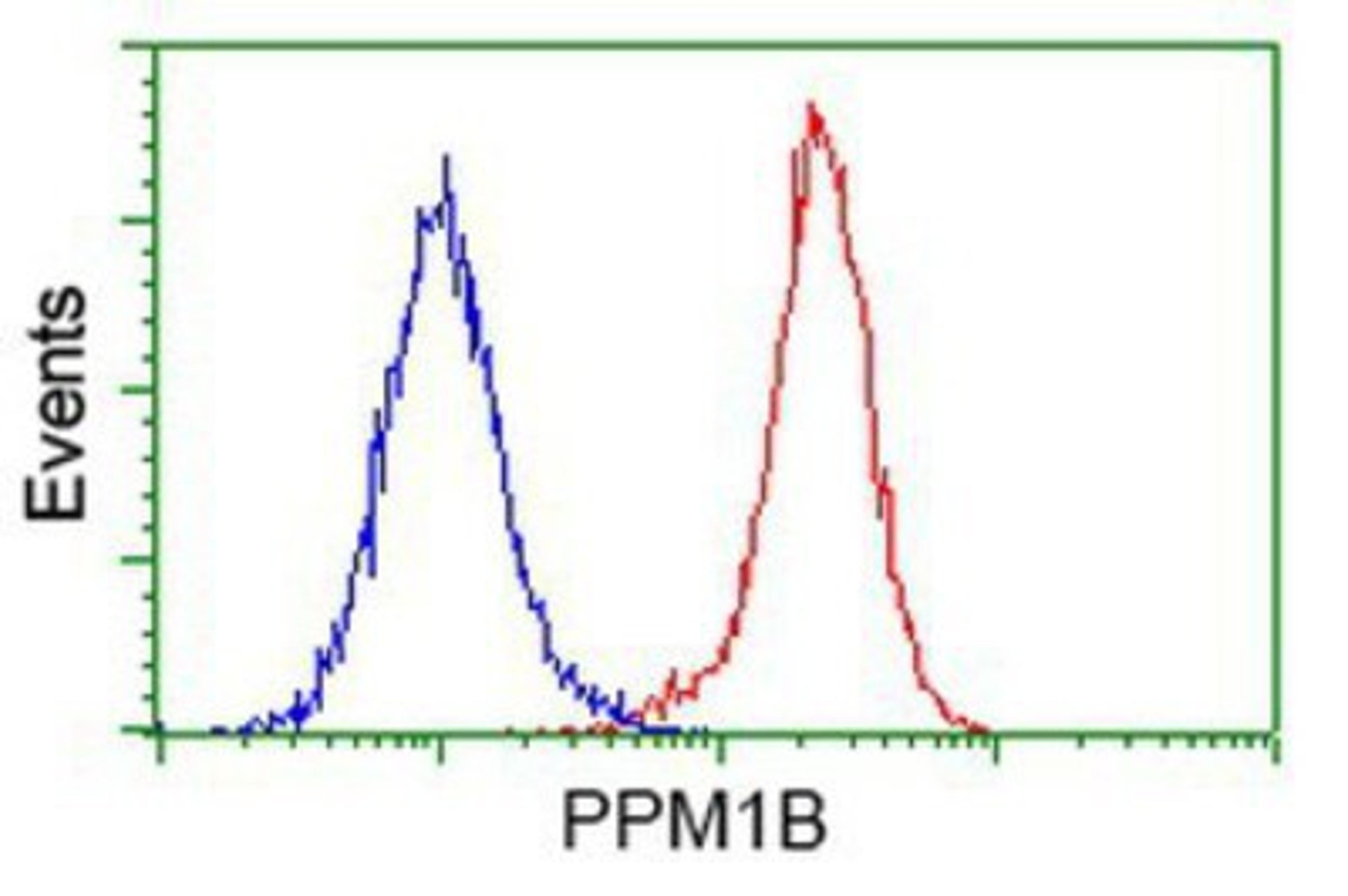 Flow Cytometry: PPM1B Antibody (3F2) [NBP2-00720] - Analysis of Hela cells, using anti-PPM1B antibody, (Red), compared to a nonspecific negative control antibody (Blue).