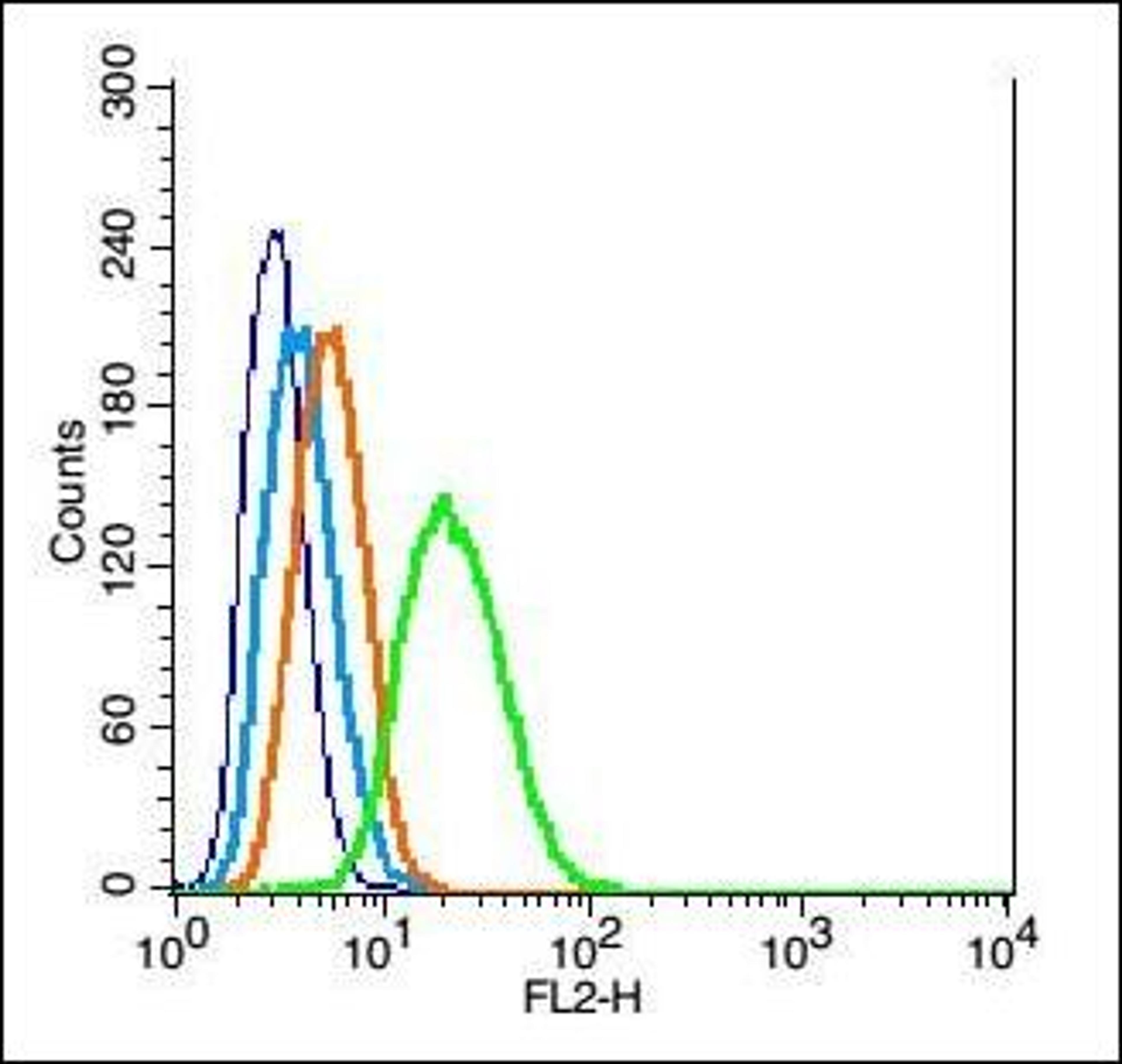 Flow cytometric analysis of Rsc96 cell using Mfn1 antibody.