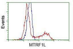 Flow Cytometry: MTRF1L Antibody (1D11) [NBP2-02384] - HEK293T cells transfected with either pCMV6-ENTRY MTRF1L.(Red) or empty vector control plasmid (Blue) were immunostained with anti-MTRF1L mouse monoclonal, and then analyzed by flow cytometry.