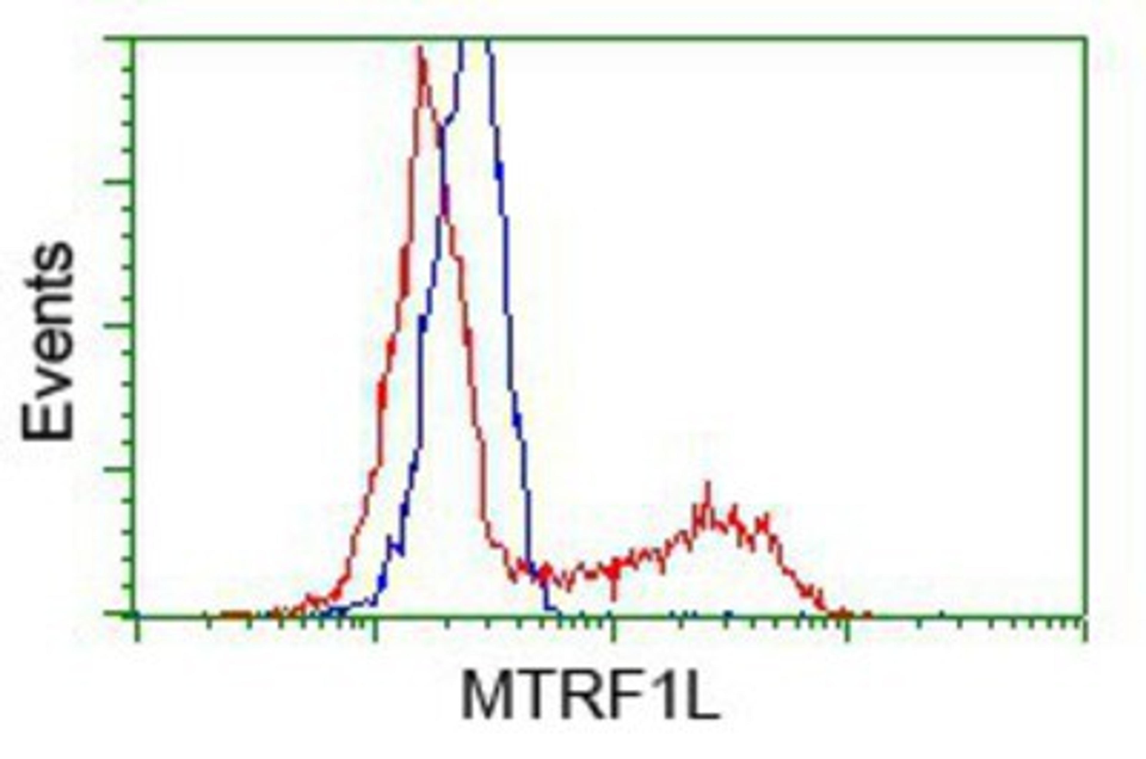 Flow Cytometry: MTRF1L Antibody (1D11) [NBP2-02384] - HEK293T cells transfected with either pCMV6-ENTRY MTRF1L.(Red) or empty vector control plasmid (Blue) were immunostained with anti-MTRF1L mouse monoclonal, and then analyzed by flow cytometry.