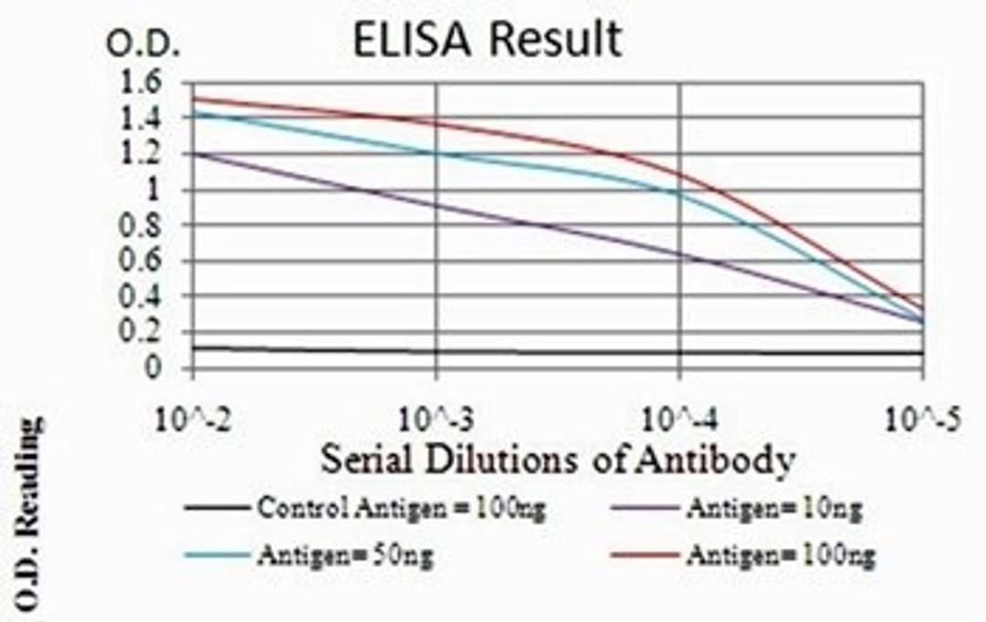 ELISA Black line: Control Antigen (100 ng); Purple line: Antigen(10ng); Blue line: Antigen (50 ng); Red line: Antigen (100 ng)