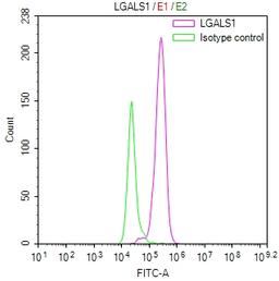 Overlay Peak curve showing 3T3 cells stained with CSB-RA012882MA1HU (red line) at 1:100. Then 10% normal goat serum was Incubated to block non-specific protein-protein interactions followed by the antibody (1µg/1*10<sup>6</sup>cells) for 45 min at 4°C. The secondary antibody used was FITC-conjugated Goat Anti-Mouse IgG(H+L) at 1/200 dilution for 35 min at 4°C. Isotype control antibody (green line) was mouse IgG1 (1µg/1*10<sup>6</sup>cells) used under the same conditions. Acquisition of >10, 007 events was performed.