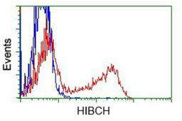 Flow Cytometry: HIBCH Antibody (3H5) [NBP2-02673] - HEK293T cells transfected with either overexpression plasmid (Red) or empty vector control plasmid (Blue) were immunostained by anti-HIBCH antibody, and then analyzed by flow cytometry.