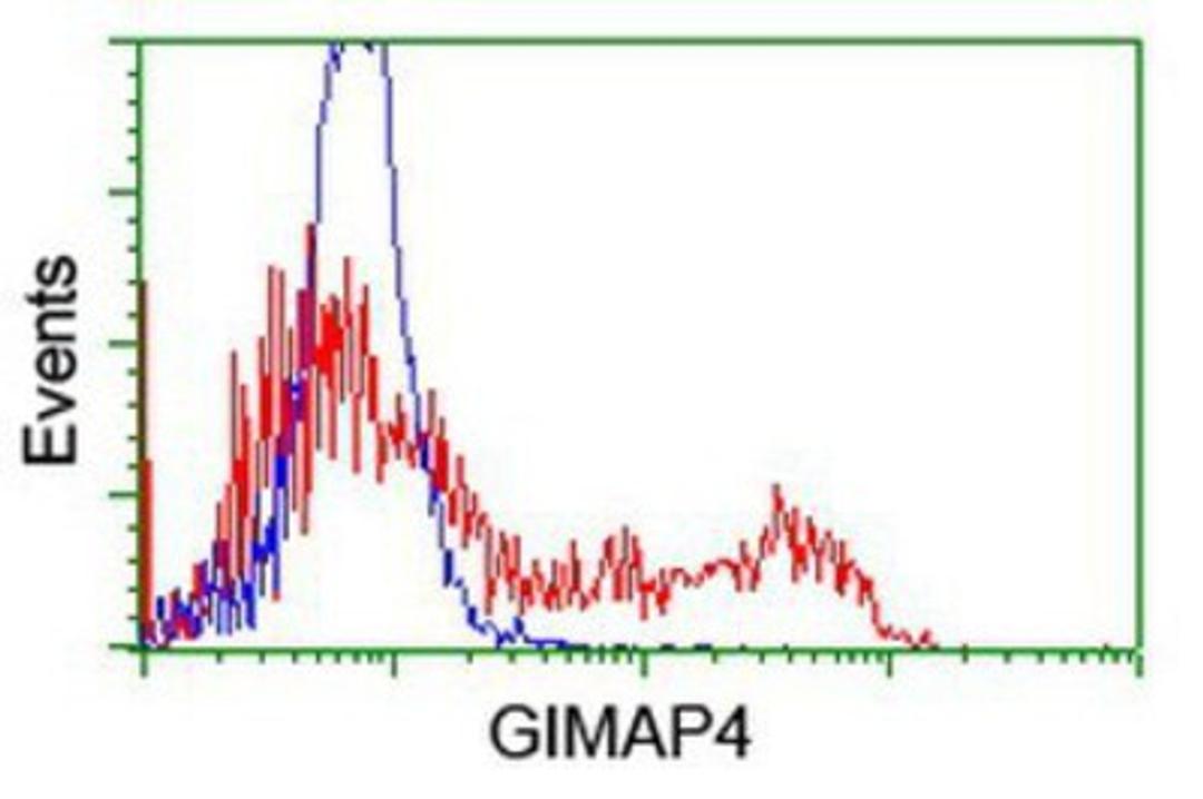 Flow Cytometry: GIMAP4 Antibody (1C6) [NBP2-03730] - HEK293T cells transfected with either overexpression plasmid (Red) or empty vector control plasmid (Blue) were immunostained by anti-GIMAP4 antibody, and then analyzed by flow cytometry.