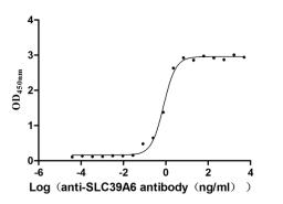 The Binding Activity of SLC39A6 with anti-SLC39A6 antibody. Activity: Measured by its binding ability in a functional ELISA. Immobilized Human SLC39A6(CSB-BP621669HU) at 1 μg/ml can bind Anti-SLC39A6-1 recombinant antibody, the EC<sub>50</sub> is 0.6873-0.9010 ng/mL.