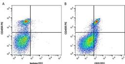 Figure A. rat anti mouse CD45R. Figure B. rat anti mouse CD45R and rat anti mouse CD31. 